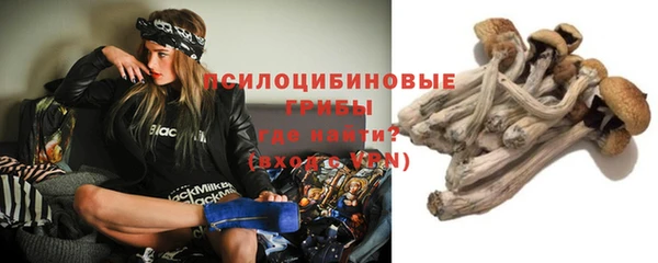 СК Покров