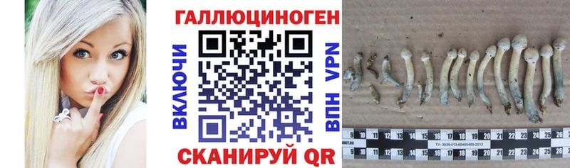 что такое   Мышкин  Псилоцибиновые грибы ЛСД 